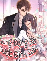 Rung Động Đã Được Định Sẵn đọc online